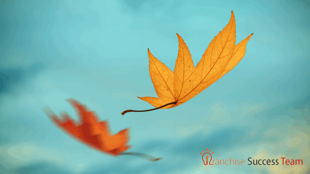 Fall Into Growth: Seasonal Campaign Ideas That Work Across Every Franchise Location