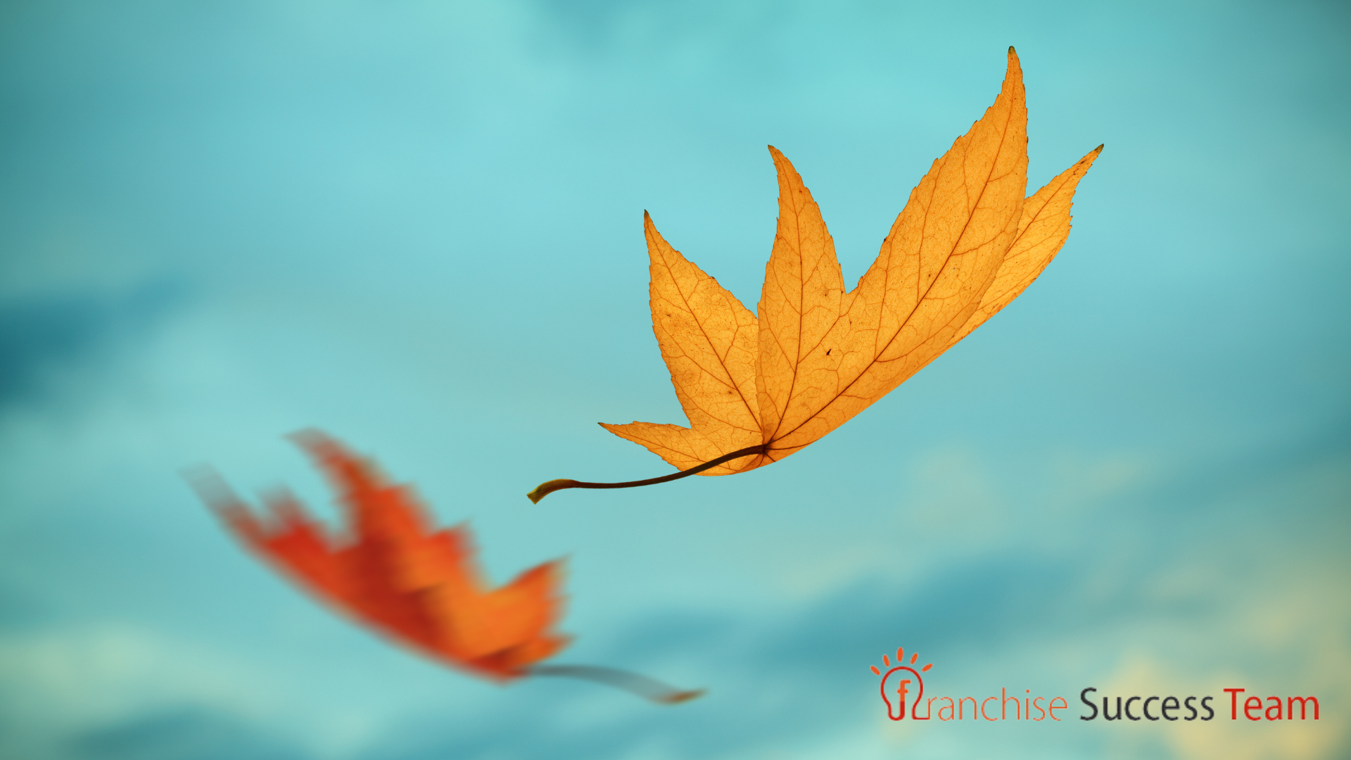 Fall Into Growth: Seasonal Campaign Ideas That Work Across Every Franchise Location